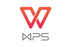 WPS Office 2023 ProPlus 12.8.2.15091 绿色便携版